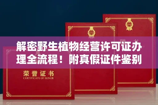 全国解密野生植物经营许可证办理全流程!附真假证件鉴别方法