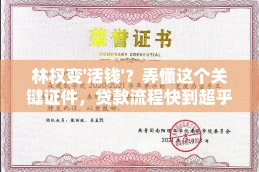 全国林权变'活钱'?弄懂这个关键证件,贷款流程快到超乎想象!