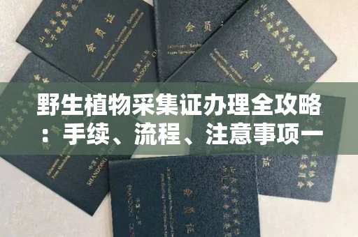 全国野生植物采集证办理全攻略：手续、流程、注意事项一网打尽